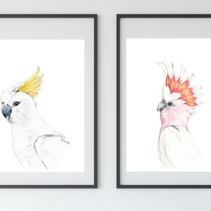 Australian native birds art print set. Cockatoo, pink Galah and Major Mitchell Watercolour pencil artworks. Unique gift, bedroom or wall art Set of 2x A4