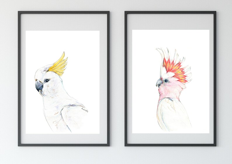 Australian native birds art print set. Cockatoo, pink Galah and Major Mitchell Watercolour pencil artworks. Unique gift, bedroom or wall art Set of 2x A4
