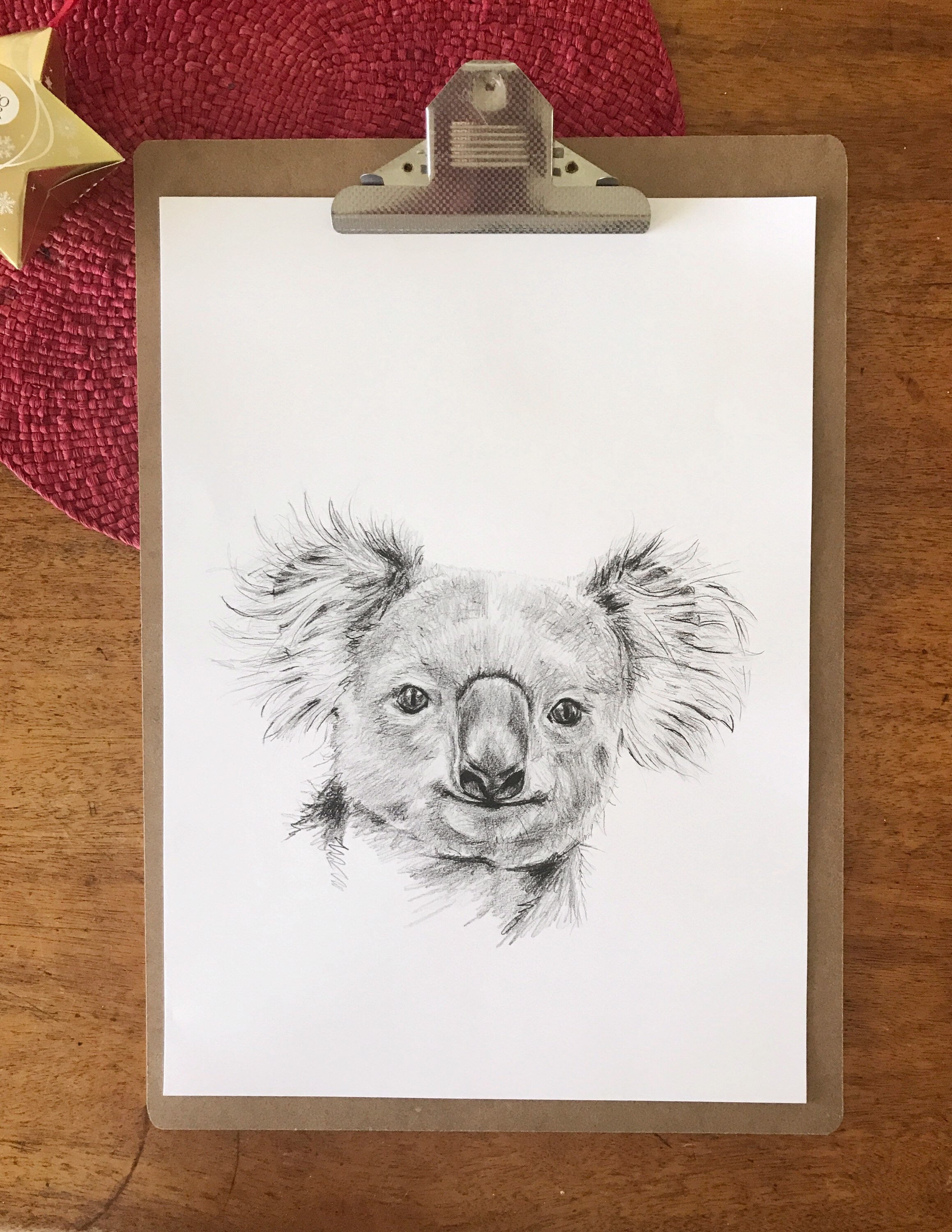 Hand Drawn Koala Portrait Drawing Print. Black and White Sketch