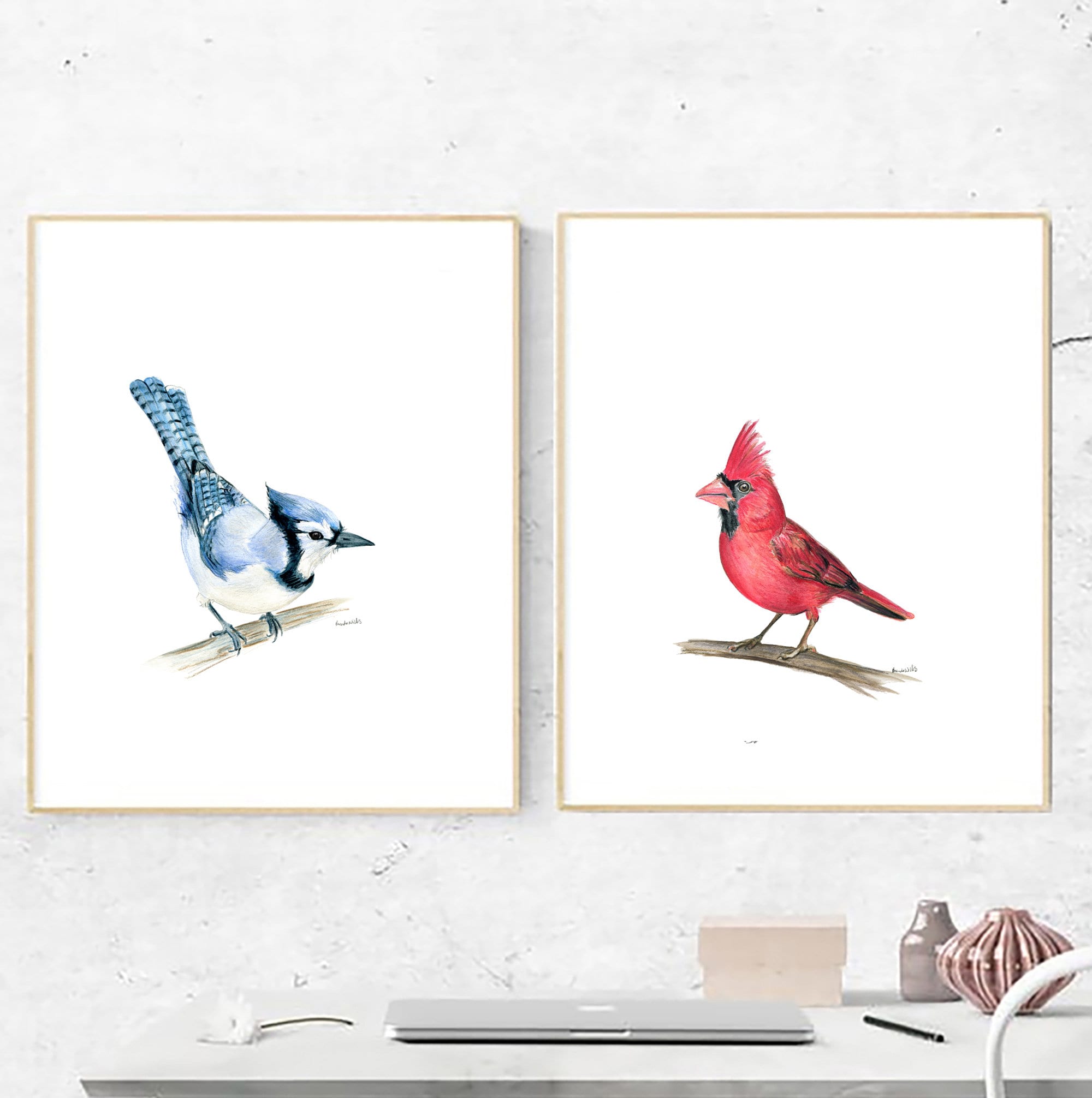 Red Cardinal and Blue Jay Art Print Set X2. American Native Birds ...