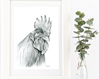 Hand drawn black & white Rooster drawing print. Farm chicken bird sketch. Bird lover gift, hen or cock pencil sketch. Modern country decor