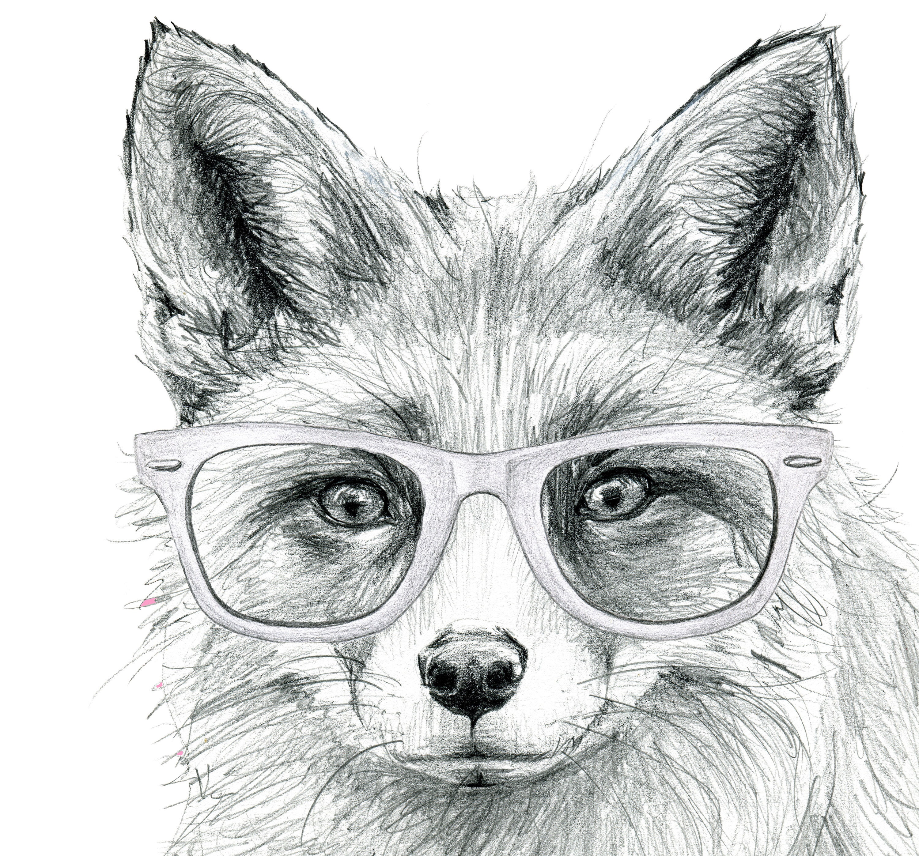 Hand Drawn Fox With Glasses Portrait Drawing Print. Black and White Pencil  Sketch. Wild Fox Lover Gift. Nursery, Scandi, Country Style Decor - Etsy, image size:3000x2795