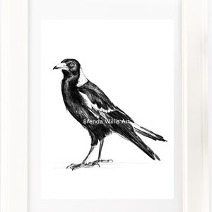 Hand drawn Magpie drawing print. Australian bird black and white pencil art. Bird lover gift, Wild bird art, Aussie or Country style decor