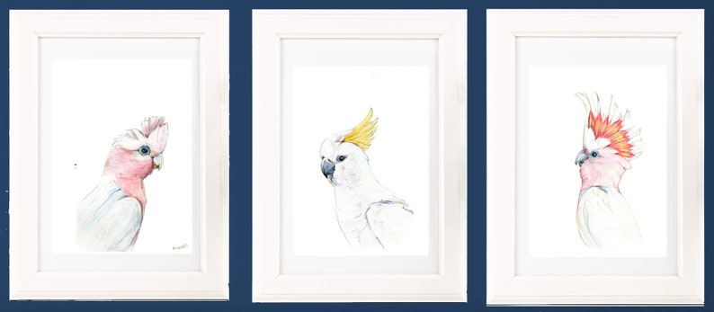 Australian native birds art print set. Cockatoo, pink Galah and Major Mitchell Watercolour pencil artworks. Unique gift, bedroom or wall art Set of 3x A4