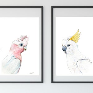 Australian native birds art print set. Cockatoo, pink Galah and Major Mitchell Watercolour pencil artworks. Unique gift, bedroom or wall art image 6