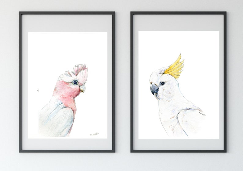 Australian native birds art print set. Cockatoo, pink Galah and Major Mitchell Watercolour pencil artworks. Unique gift, bedroom or wall art image 6