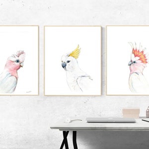 Australian native birds art print set. Cockatoo, pink Galah and Major Mitchell Watercolour pencil artworks. Unique gift, bedroom or wall art image 2
