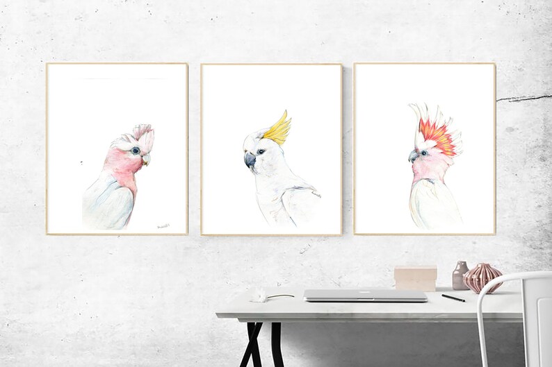 Australian native birds art print set. Cockatoo, pink Galah and Major Mitchell Watercolour pencil artworks. Unique gift, bedroom or wall art image 2