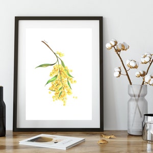 May include: A watercolor painting of a branch of yellow mimosa flowers with green leaves on a white background.