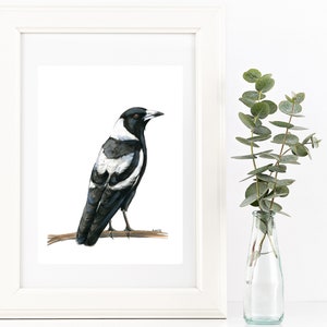 Aquarel ekstertekening print. Australische inheemse zwart-witte vogelpotlood- en verfkunstwerken. Aussie modern landelijk decor of uniek cadeau