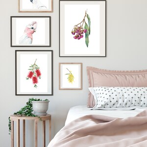 May include: A bedroom interior with a white wall and a bed with a pink blanket and pillows. There are five framed prints on the wall, featuring watercolor illustrations of Australian flora and fauna, including a pink cockatoo, a yellow cockatoo, a branch of pink flowers, a branch of red flowers, and a branch of yellow flowers.
