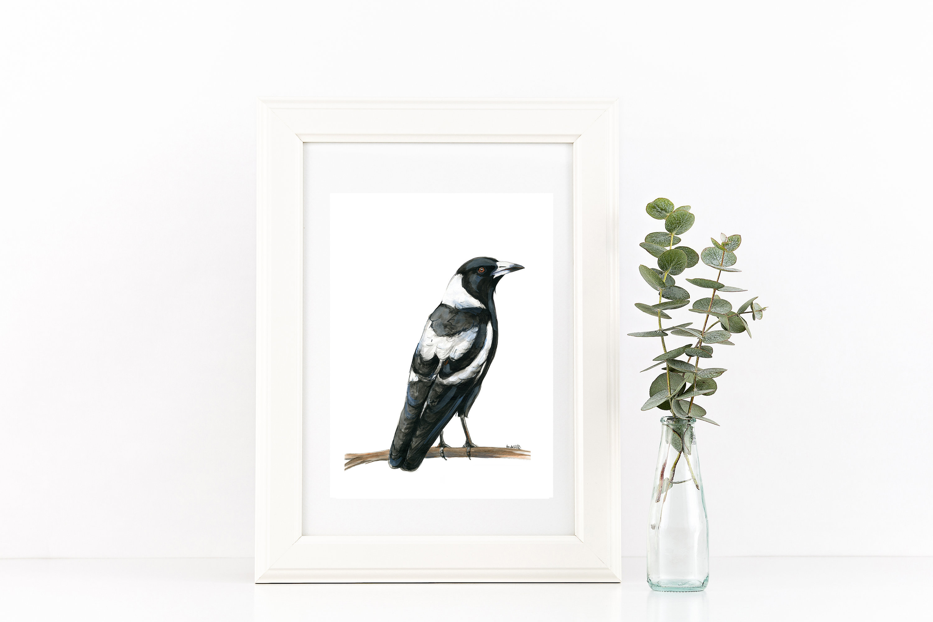 Watercolour Magpie Drawing Print Australian Native Black And Etsy 日本 Watercolour Magpie Drawing Print Australian Native Black And Etsy 日本