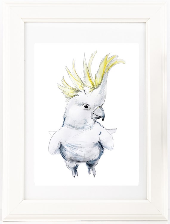 cockatoo drawing cockatoo drawing