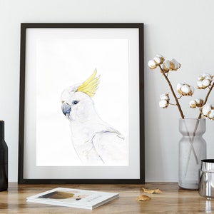 Australian native birds art print set. Cockatoo, pink Galah and Major Mitchell Watercolour pencil artworks. Unique gift, bedroom or wall art image 7