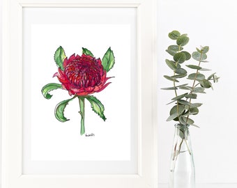 Red Waratah watercolour & pen drawing print. Australian native flowers art. Unique flower lovers gift, Aussie theme, country style decor