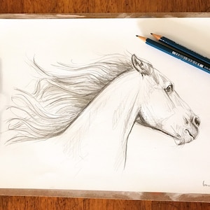 Original mustang horse drawing artwork. Hand drawn Stallion pencil sketch. Equestrian, Horse lover gift. Scandi, Boho or country style decor