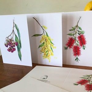 Australian native flower 3 card set. Pink Gum blossoms, yellow Wattle and Red Bottlebrush flora art. Gift tag, greeting cards, birthday card