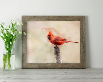 Arte de pared imprimible digital cardenal. Hermoso pájaro rojo