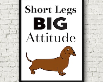 Short Legs BIG Attitude, lo dice todo sobre los Dachshunds, y nos encanta su actitud.
