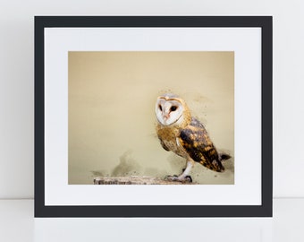 Serene Barn Owl imprimible Descarga instantánea de arte digital. Ilustración de Photoshop Arte del bosque.