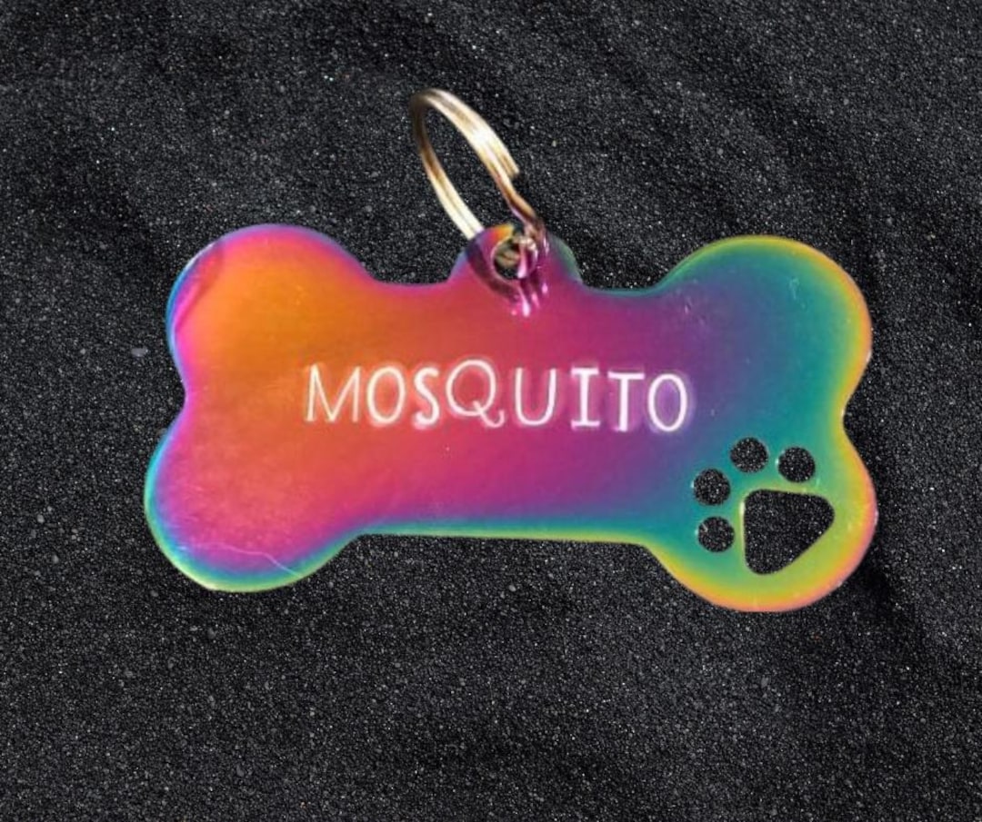 Paws Without Borders Fundraiser Dog ID Tag Stainless Steel Pet