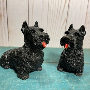 Castagna italy - Etsy 日本