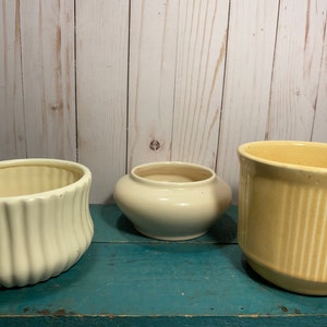 Elección del comprador: una de tres jardineras vintage blancas, tamaño pequeño, regalo para jardineros, estilo cottagecore