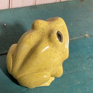May include: A yellow ceramic frog planter with a speckled finish. The frog has a hole in the top for drainage.