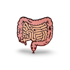 SlitherGut Pin- Gastro/Snake Intestines/Medical Pins/Snake Pin/Anatomy/MediThings/Healthcare/Med Student/ Physician assistant