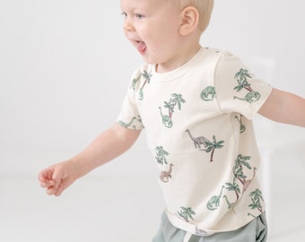 Dinosaur Tee. Organic T-Shirt. Kids Organic Clothes. Dino Print T-Shirt. Boys Top. Baby Clothes. Toddler Shirt. T-Shirt. Dino Top. Cedar Tee