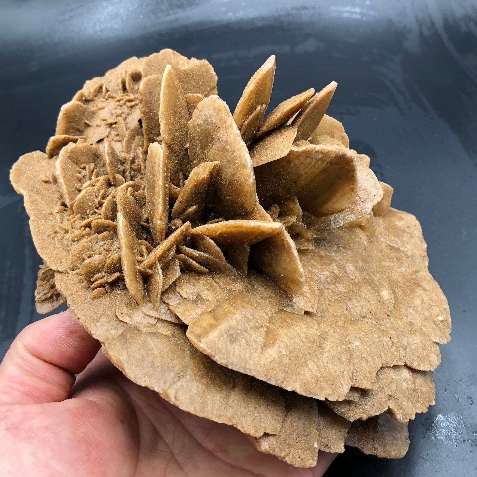 1400g Natural DESERT ROSE Healing Crystal Stone Mineral Etsy