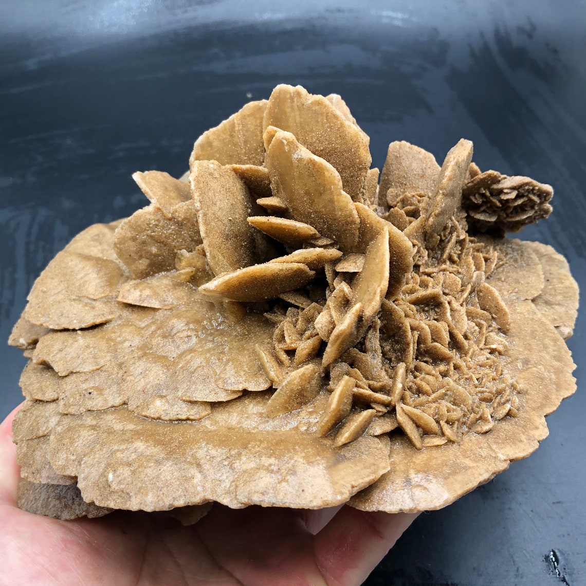 1400g Natural DESERT ROSE Healing Crystal Stone Mineral Etsy