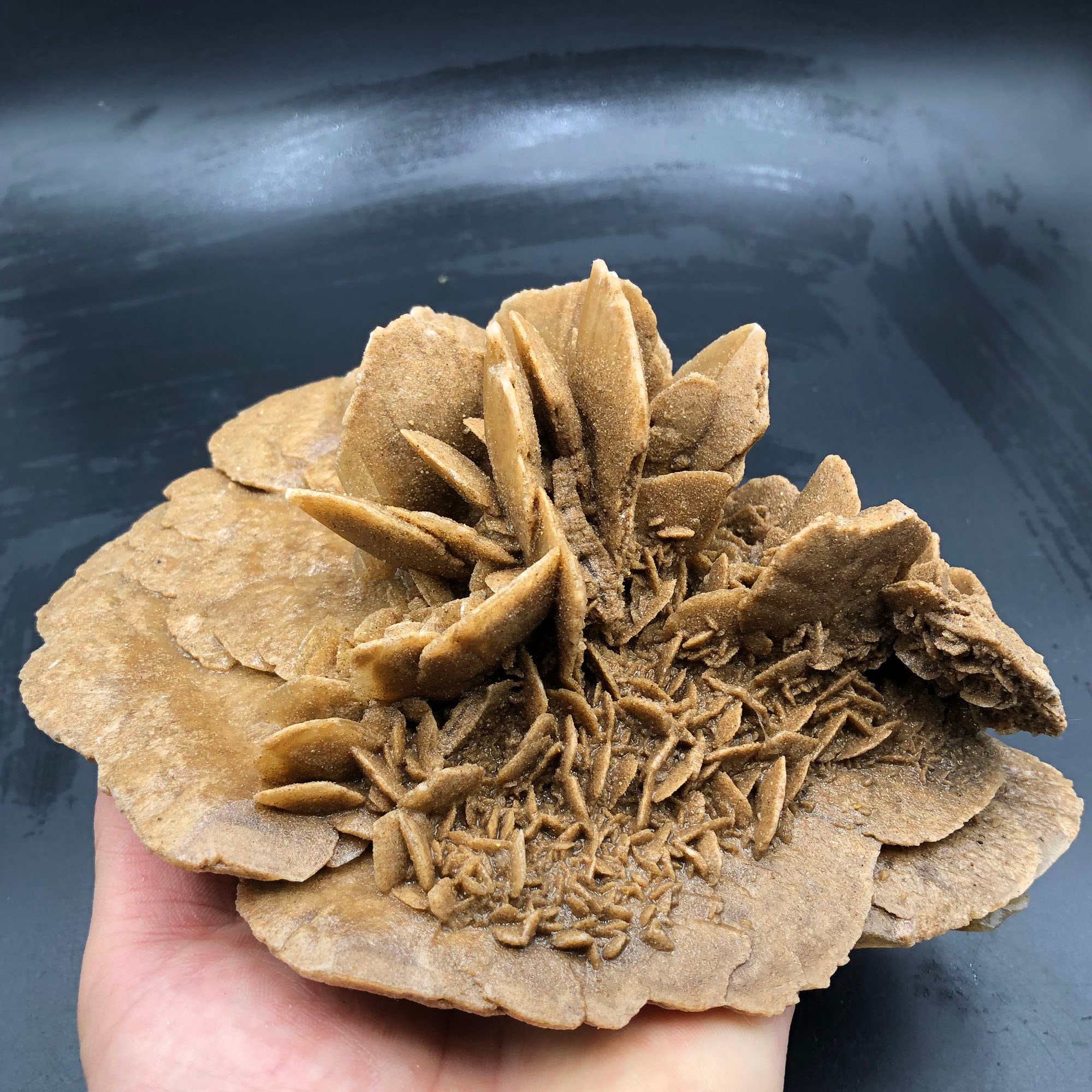 1400g Natural DESERT ROSE Healing Crystal Stone Mineral Etsy