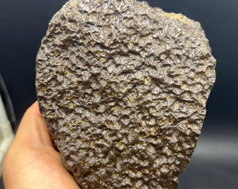 アル・ハグニア001隕石：コンドライト石質隕石、モロッコ産、170グラム