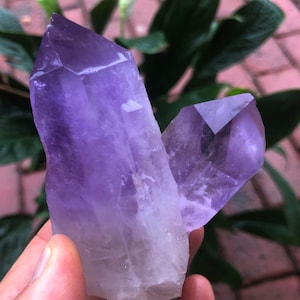 Amethyst Crystal original Mineral Specimen ，Amethyst Christmas gift，Purple quartz crystal #A1880