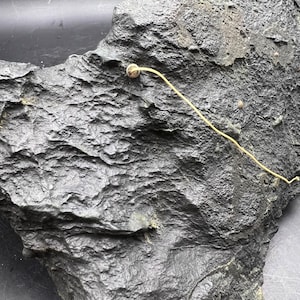 Spécimen complet de météorite naturelle de 4 260 g Météorite chondrite carbonée