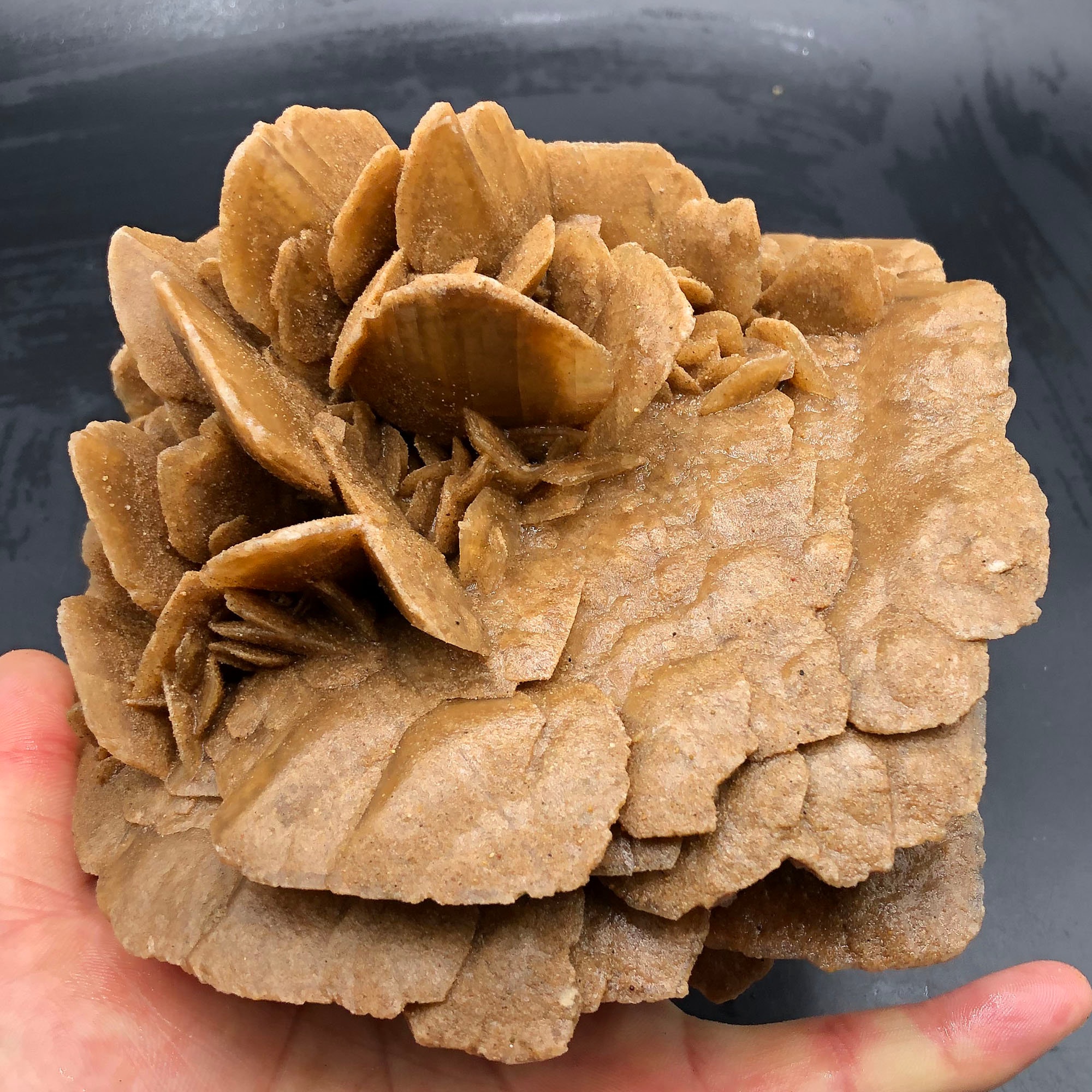 1400g Natural DESERT ROSE Healing Crystal Stone Mineral | Etsy