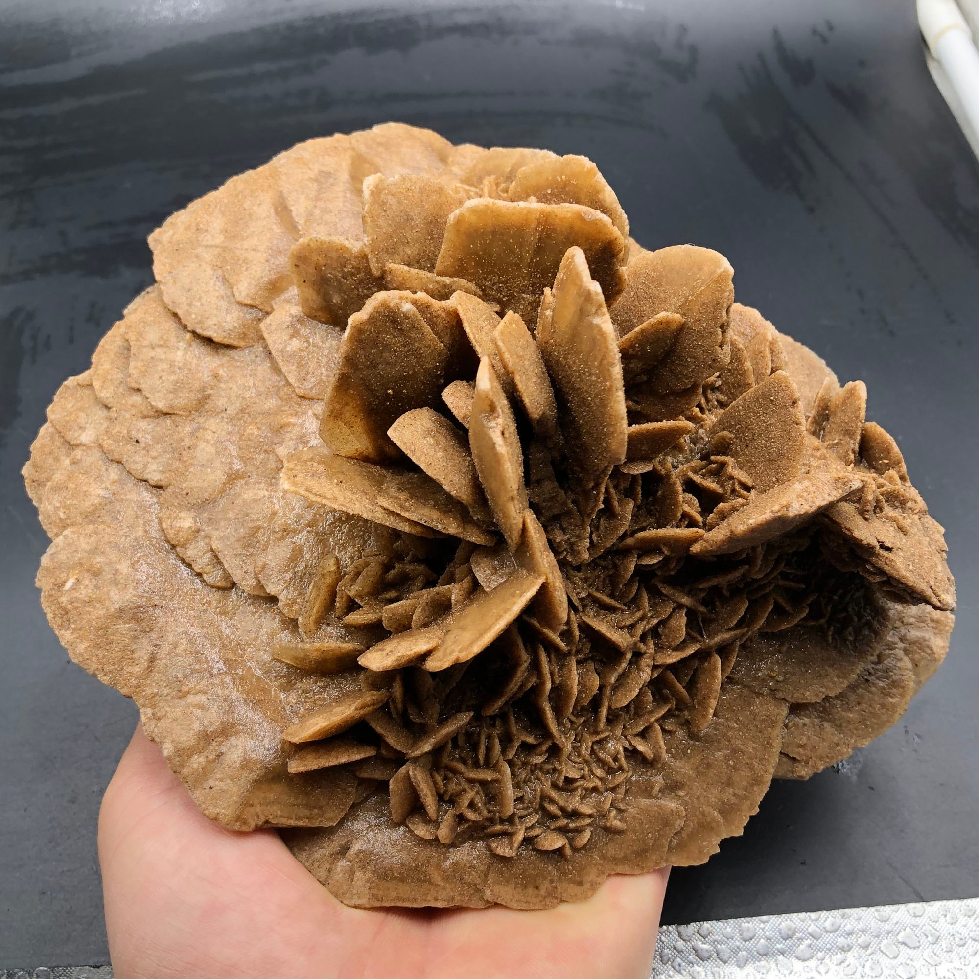 1400g Natural DESERT ROSE Healing Crystal Stone Mineral Etsy