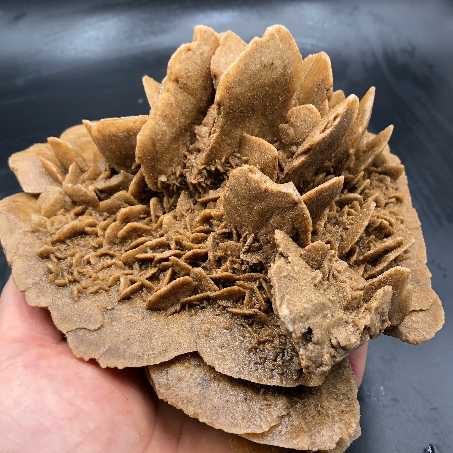 1400g Natural DESERT ROSE Healing Crystal Stone Mineral Etsy