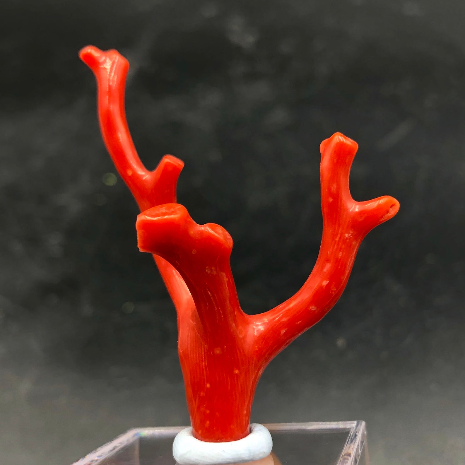 Red Coral 100 Natural Beautiful Rare Red Coral Branches Etsy