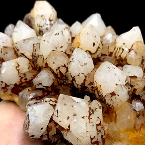 CRYSTAL Hollandite , RARE Natural Hollandite Star Quartz CRYSTAL Point , Trapiche Hair #A1492