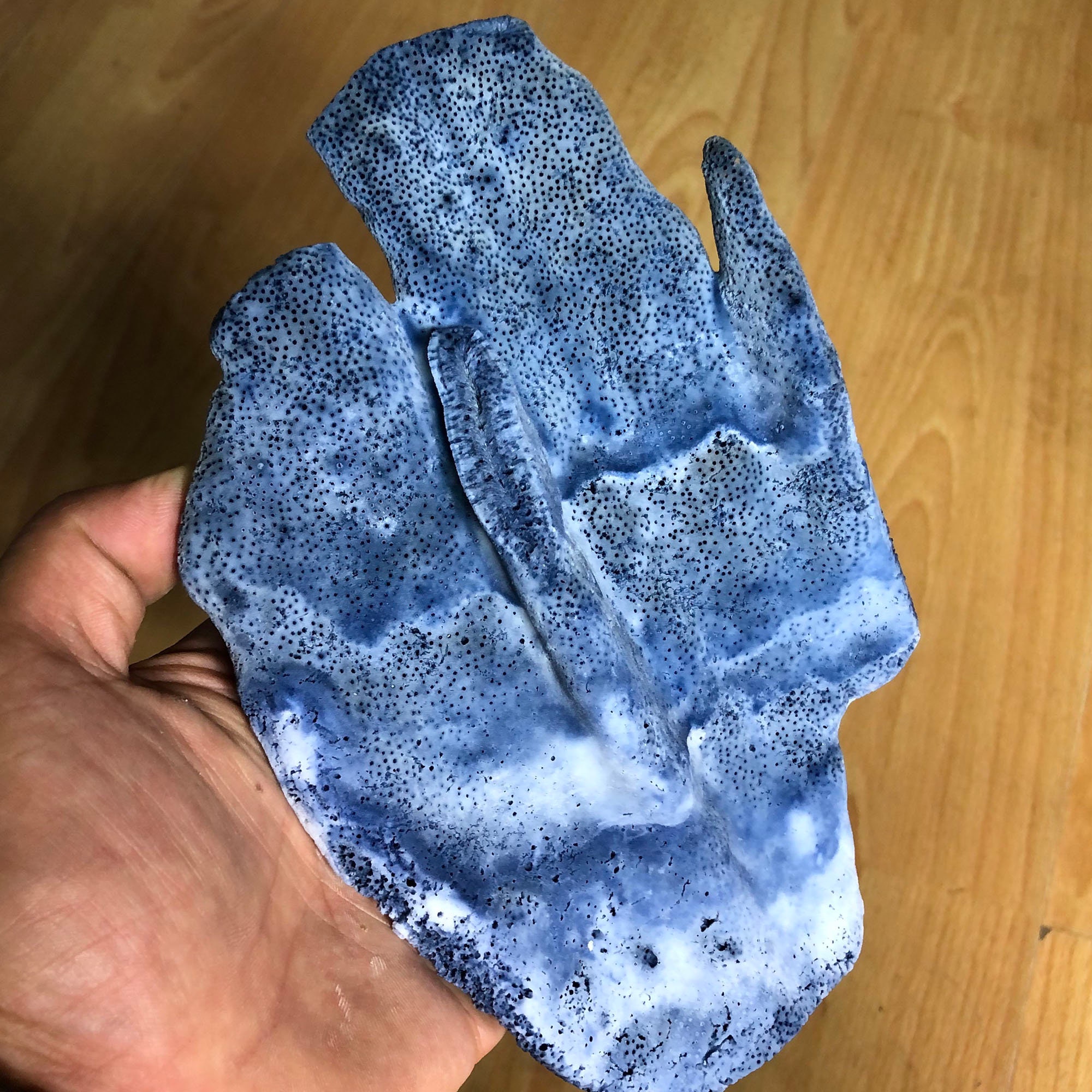 Blaue Koralle 100 Natürliche schöne seltene blaue Korallen Etsy