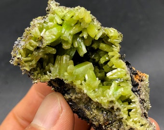 High quality Pyromorphite,Excellent Pyromorphite Crystal Cluster Mineral Specimen ,Green Pyromorphite #A1660
