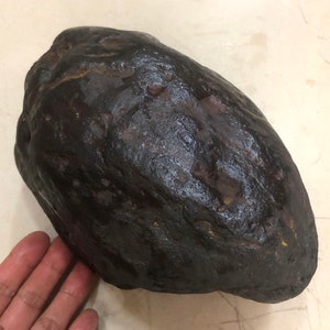 8,4 kg CRISTAL, meteorito rochoso Meteorito natural ferro BOXHOLE, Austrália, espécime completo