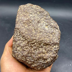 Pode incluir: Uma rocha castanha áspera com uma superfície texturizada e pequenas manchas de cor mais clara. A rocha é segurada em uma mão, mostrando sua forma irregular e aparência natural. Este espécime geológico pode ser um meteorito ou outro mineral.