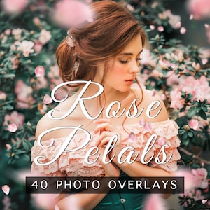 Photoshop Overlays 40 Rose Petals Overlays PNG