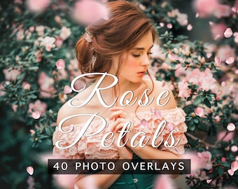 Photoshop Overlays 40 Rose Petals Overlays PNG