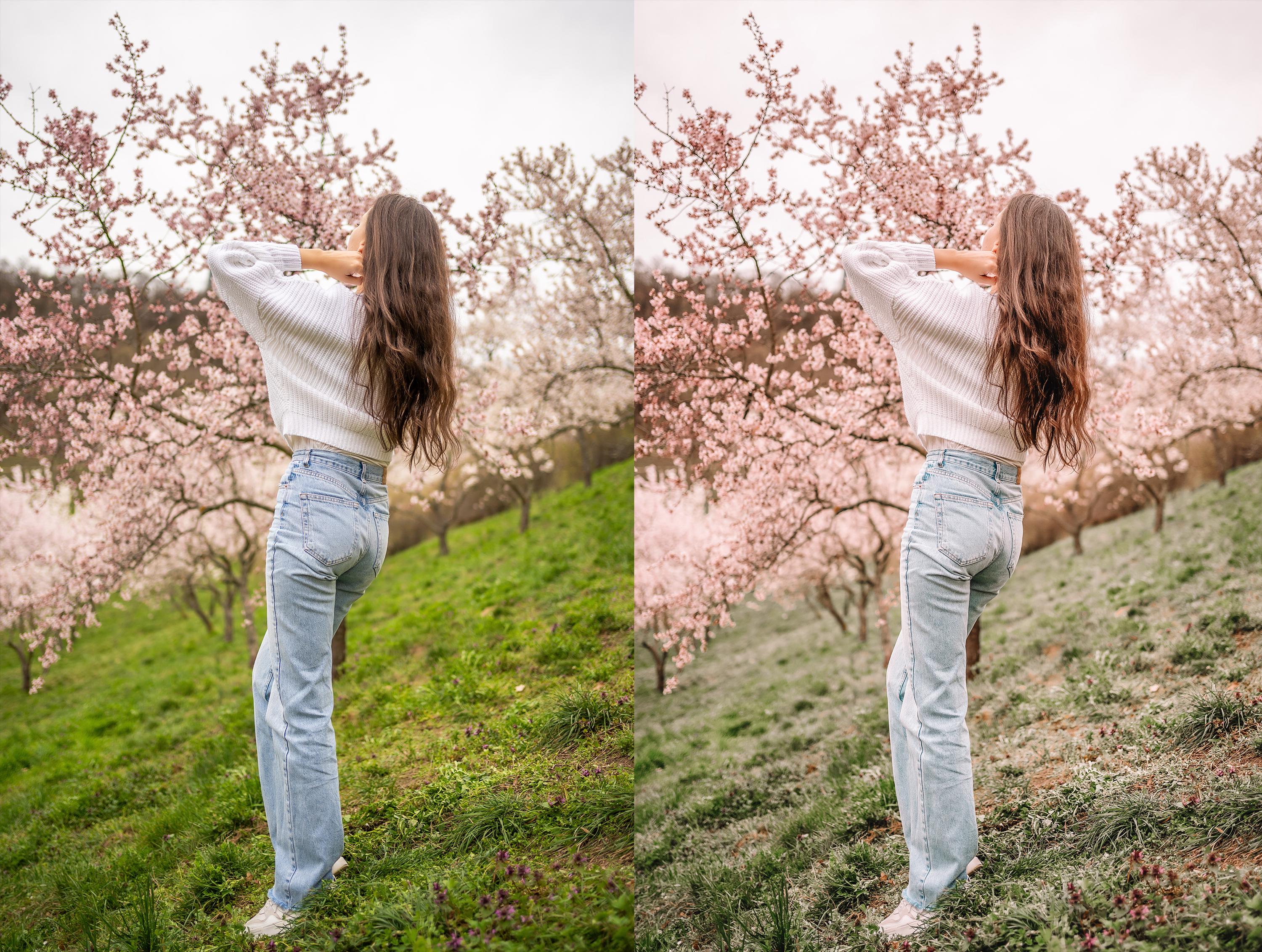 Spring Tones Lightroom Presets: Mobile & Desktop Photo Filters (20 Set ...