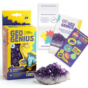 May include: A Geo Genius amethyst cluster kit, including a box, educational materials, and stickers. The box is yellow and blue with a dinosaur graphic and the text "Geo Genius". The kit includes a certificate of authenticity and a stand.