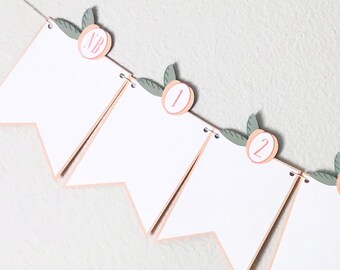 12 Month Sweet Peach Photo Banner - Sweet as a Peach, Little Peach, Georgia Peach, First Birthday, Wall Decorations, First Year